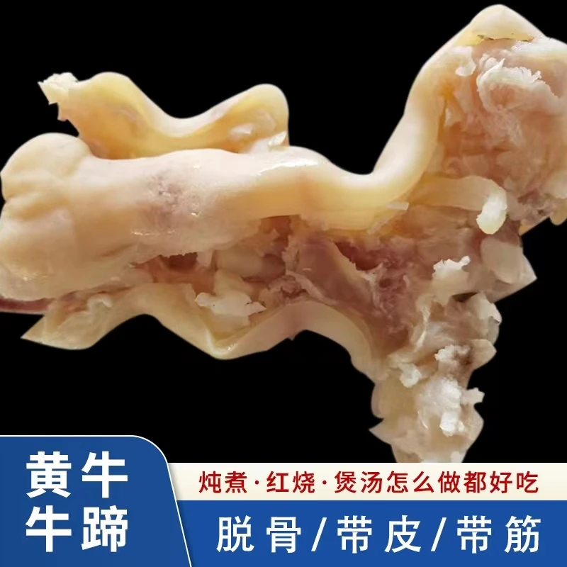 小黄牛鲜嫩牛蹄子原汁原味的去骨3斤4斤5斤牛蹄筋带皮好吃新鲜