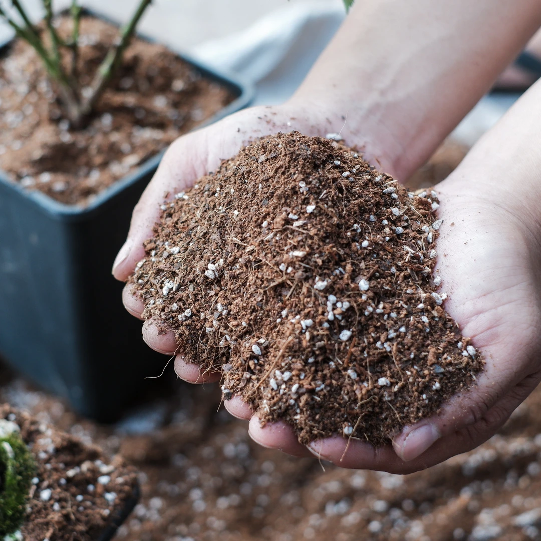 养花土壤批发朱顶红优质进口型茉莉花土龟背竹专用营养土【花绿轩】