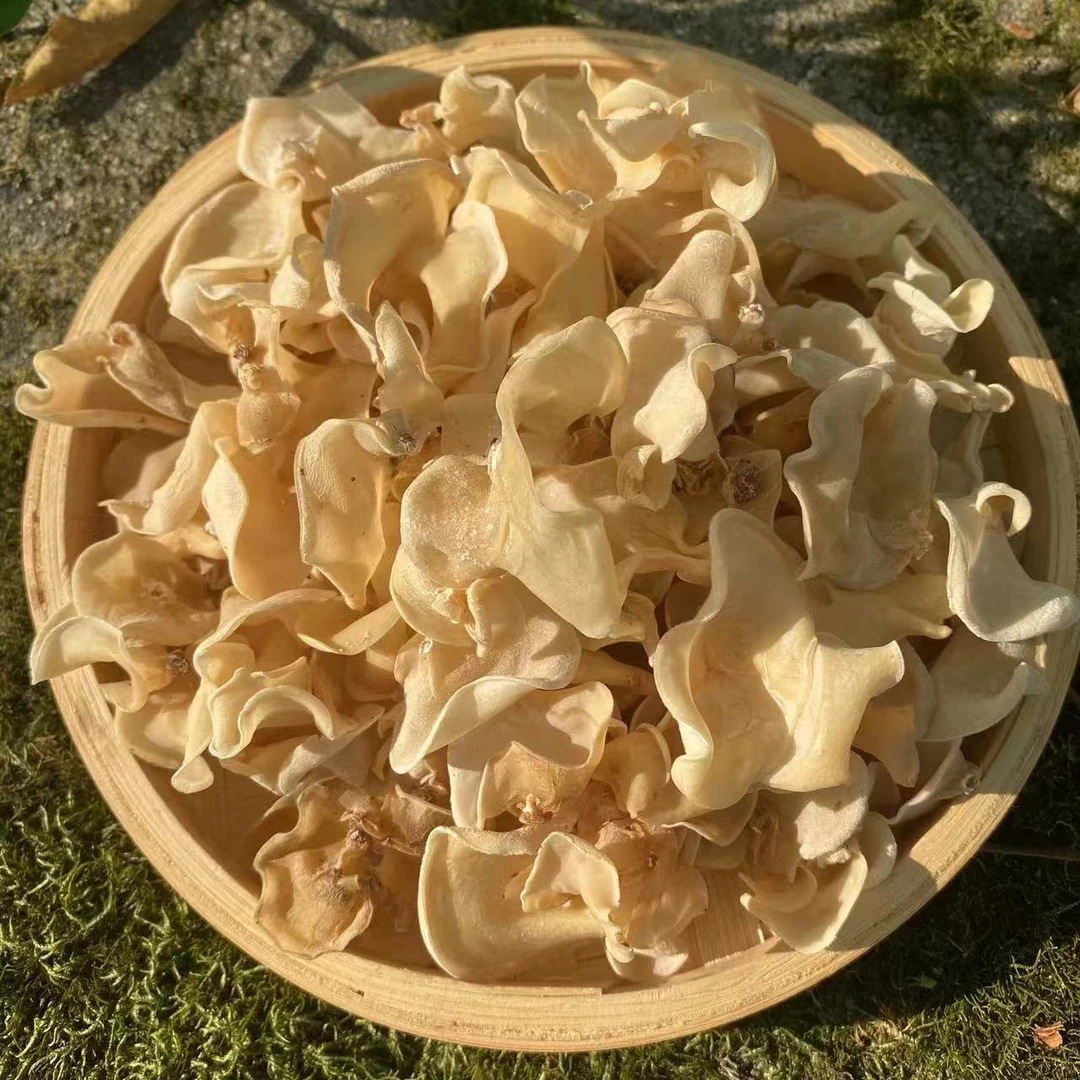 高山 农家 白玉 木耳