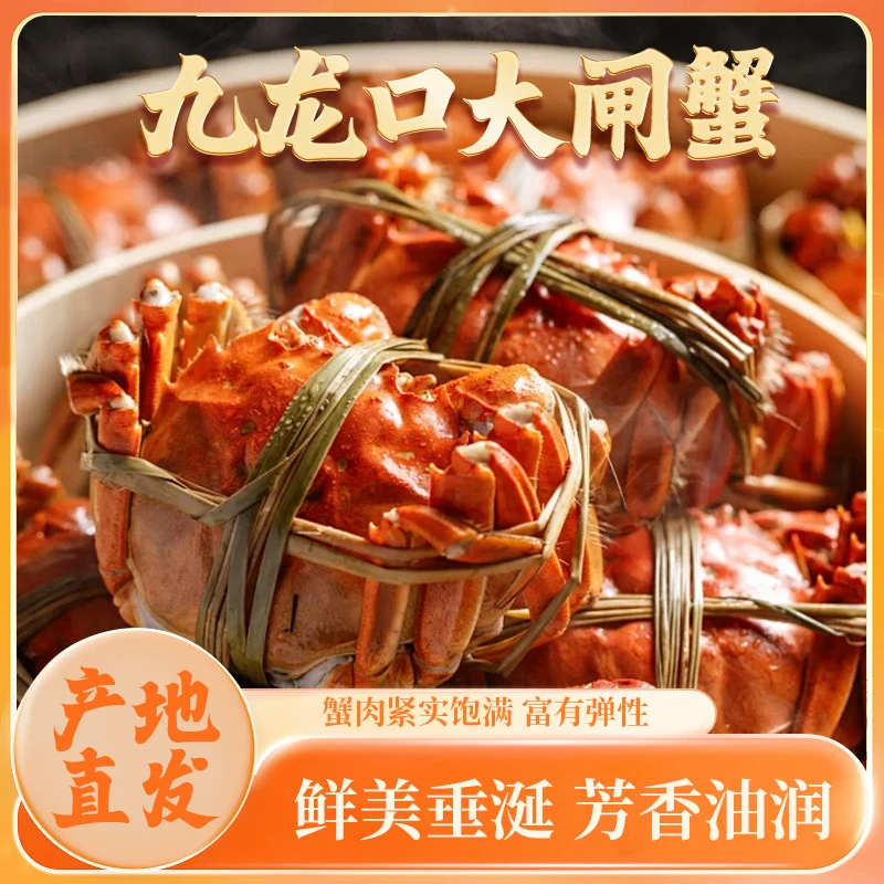 九龙口大闸蟹（母蟹）5只装（3.3-3.6两）捆好