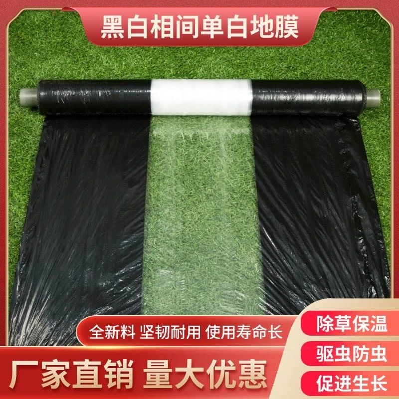 农用黑白相间地膜双白单白银黑双色反光玉米蔬菜药材建筑膜多功能