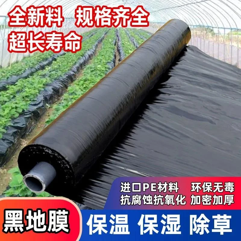 农用地膜红薯专用种菜园保温保湿防长草果树黑色地膜农田除草薄膜