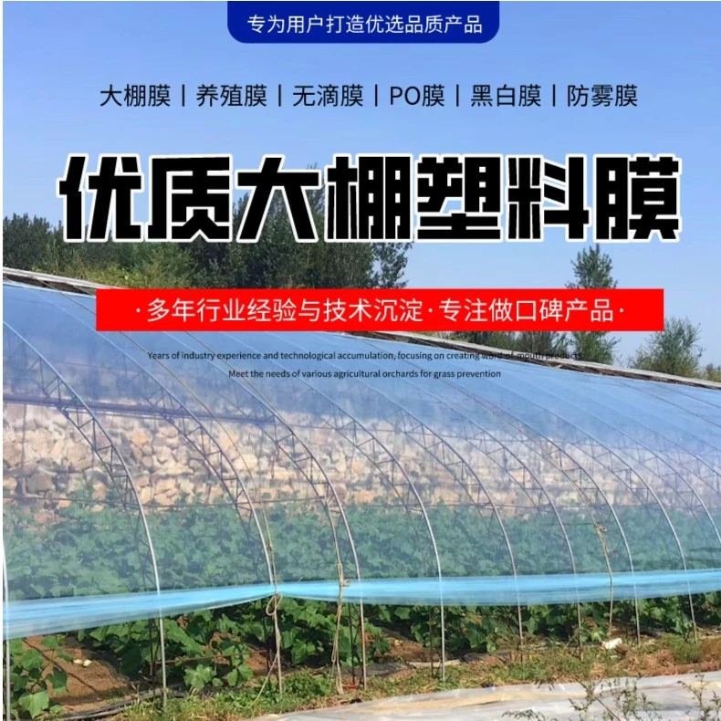 蓝色高透明膜塑料薄膜无膜加厚进口膜批发厂家大棚塑料膜