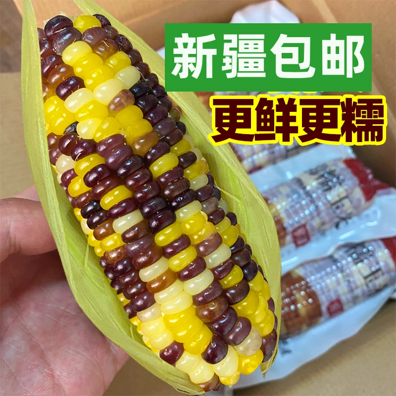新疆包邮新鲜花糯玉米棒真空装彩香甜软粘米玉米非转基因饱腹早餐
