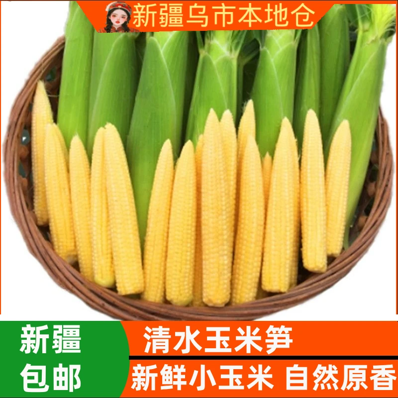 新疆包邮清水玉米笋袋商家用脆嫩迷你笋芯新鲜凉拌菜火锅食材
