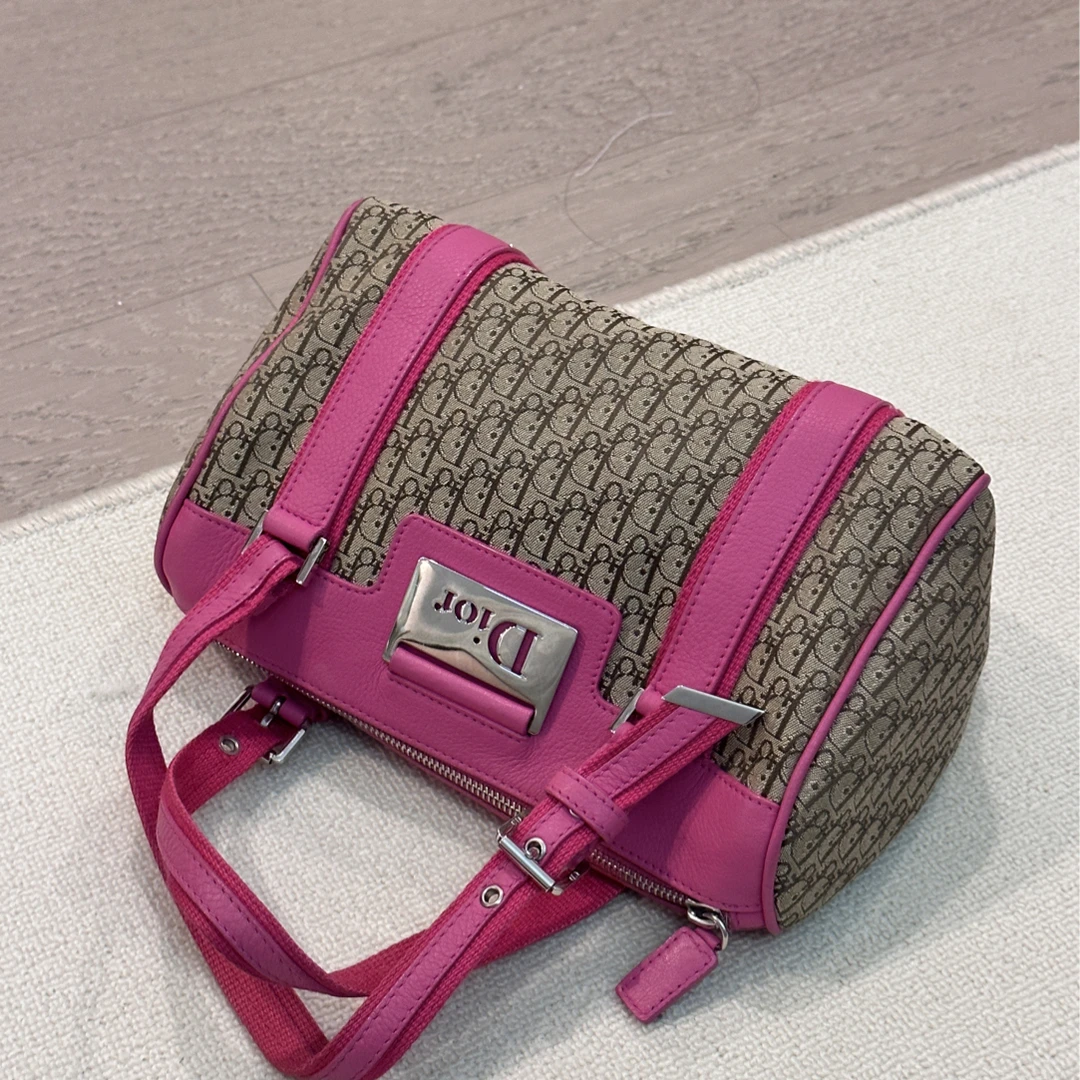 95新 DIOR/迪奥 藤象/手提包