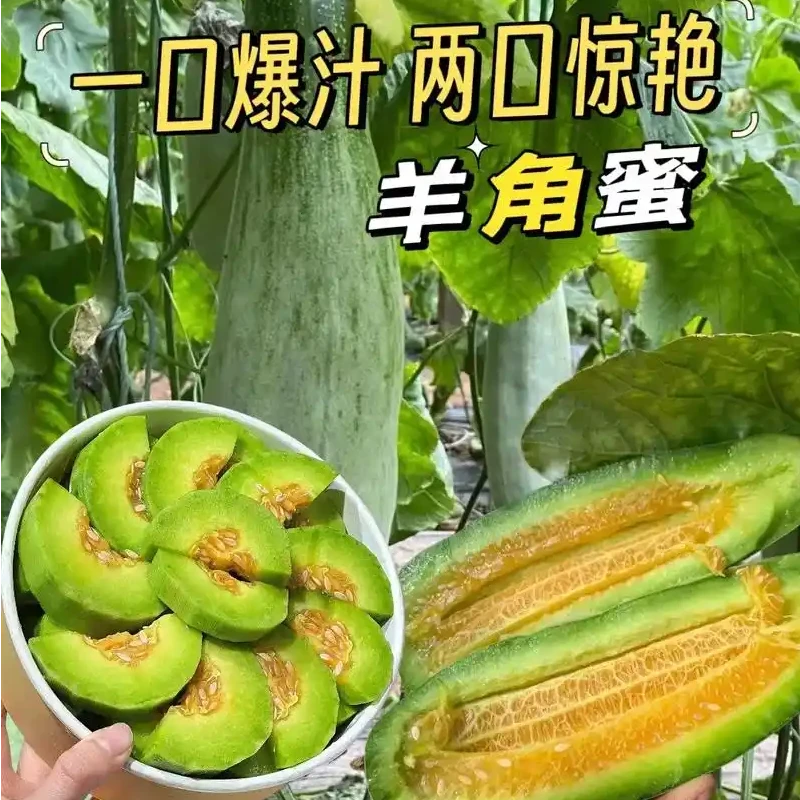 头茬羊角蜜甜瓜新鲜当季蜜瓜水果蜜瓜整箱脆甜羊角蜜