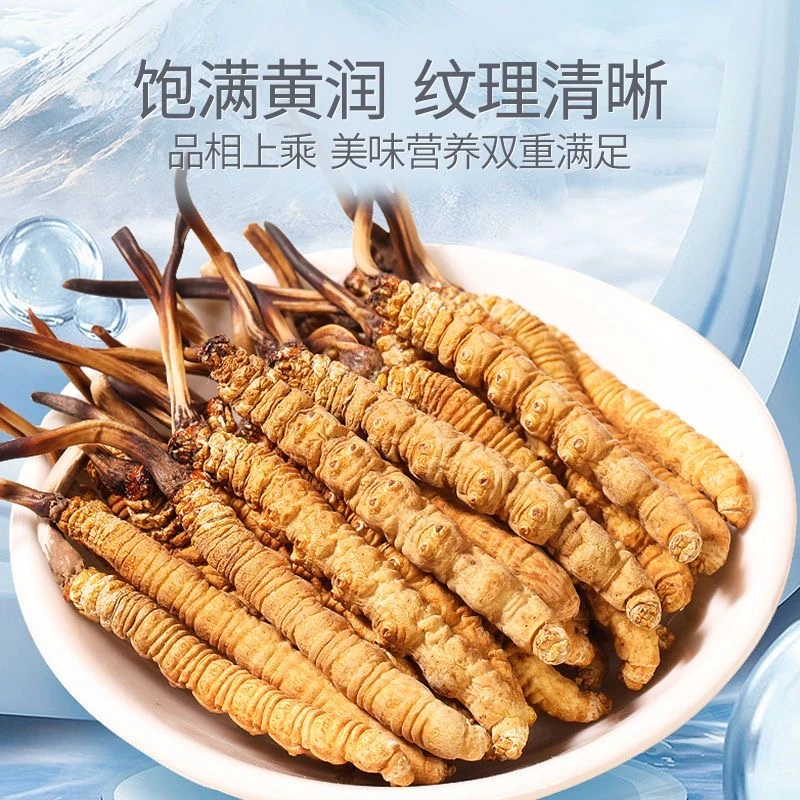 西藏那曲干草5根/克40根2024年头期头茬干冬虫夏草高品质滋补
