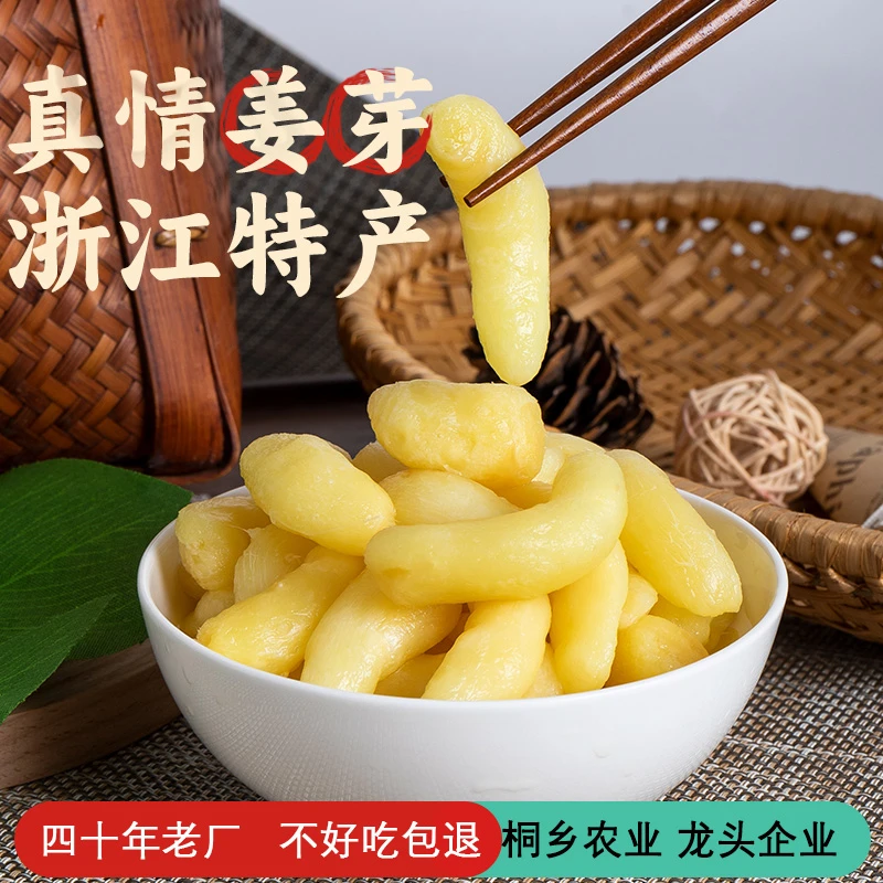 真情嫩姜芽传统腌制下饭下酒菜即食手工老字号酱菜咸菜1000克罐装