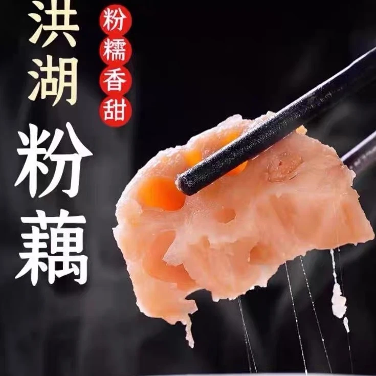 正宗藕粉莲藕新红莲九孔上市产地直发洪湖煲汤糯米藕特产藕湖北