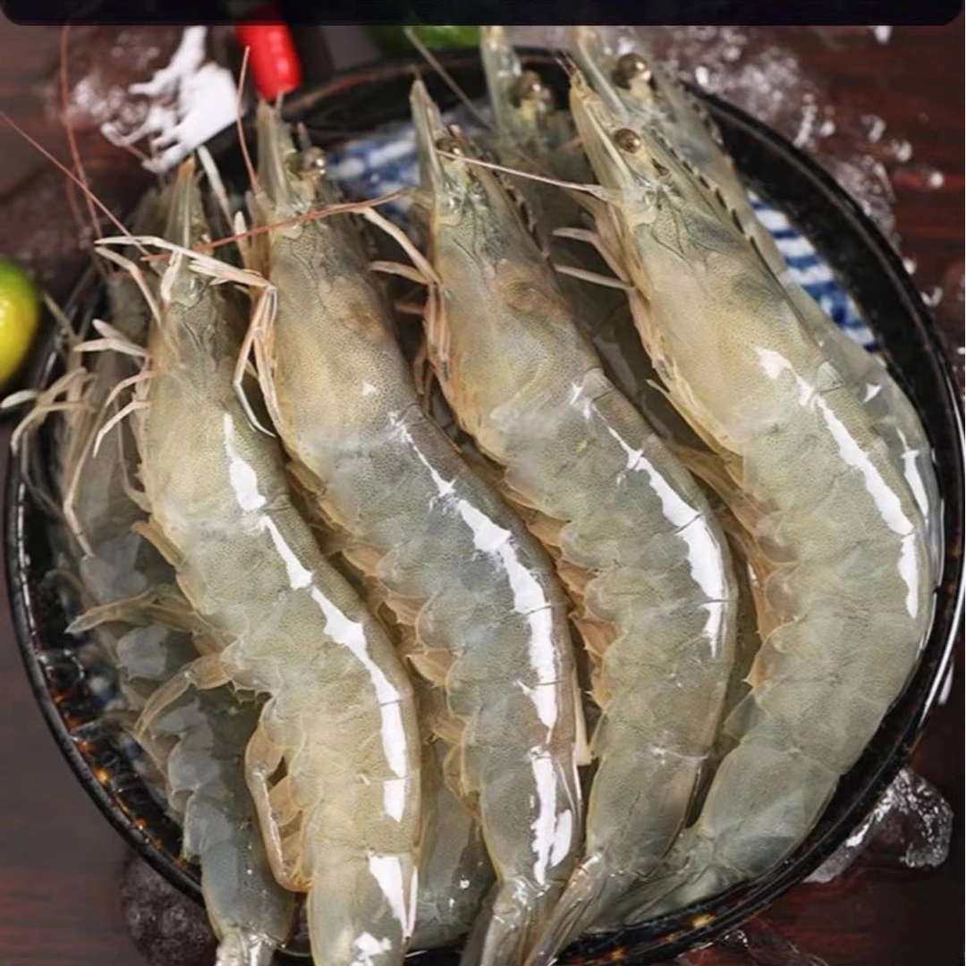 【大虾】四斤海洋海水大虾发，海捕大虾码头直发，冷链发货