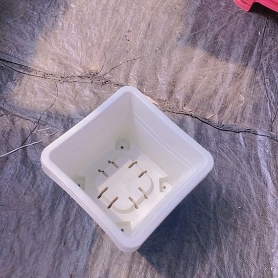 280白方盆6个白色