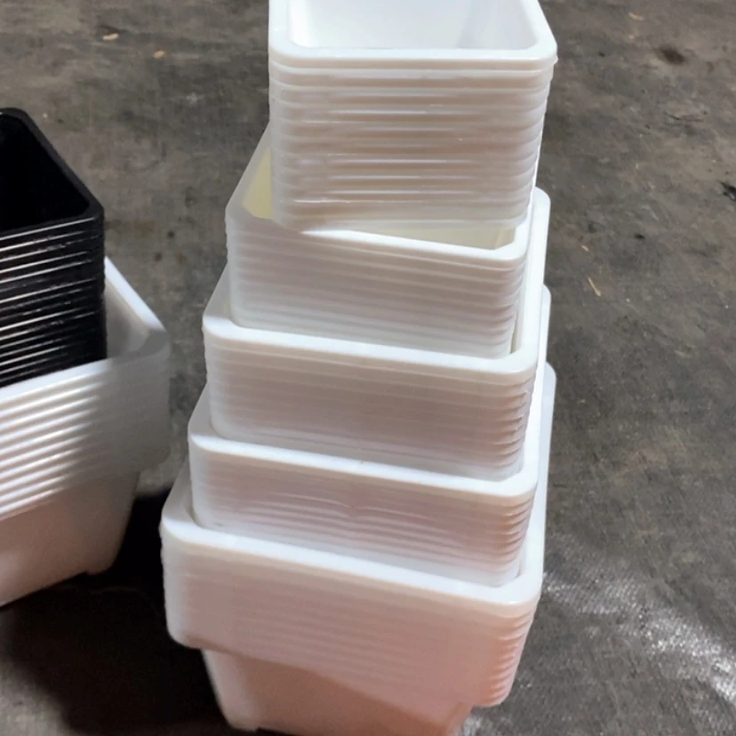 【闪购商品】白组合50个10-12-14-16-18