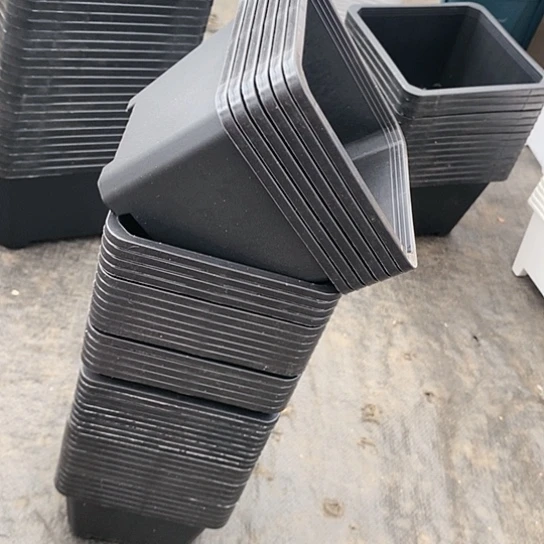 120黑方盆11公分高8公分30个