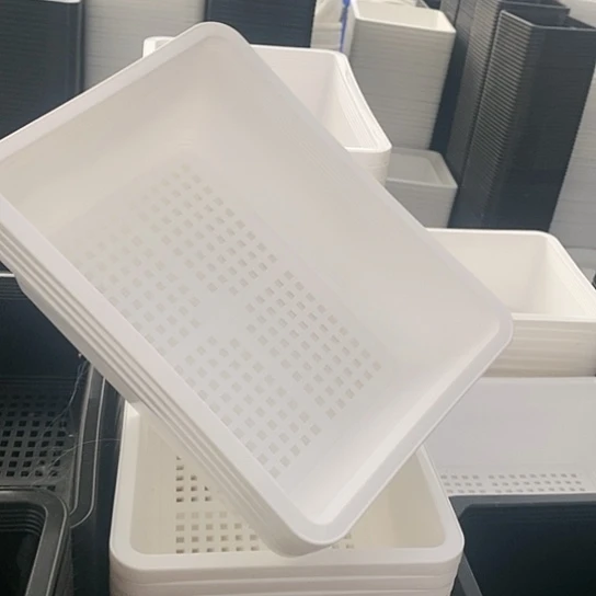 17公分白色育苗盘3个