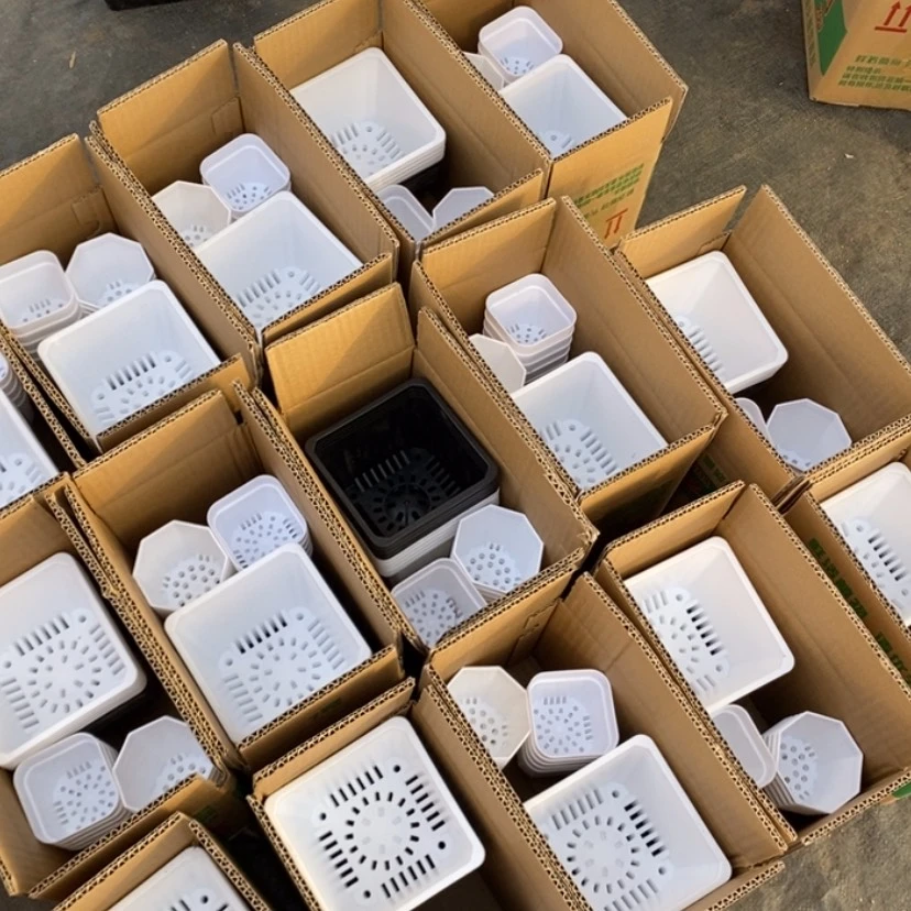 【闪购商品】福利款20个盆