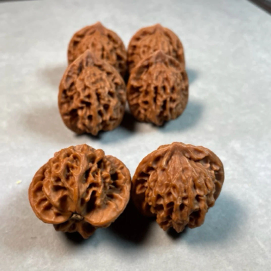 A87文玩核桃桩型尺寸多样性发其一 （拍一单发一对）