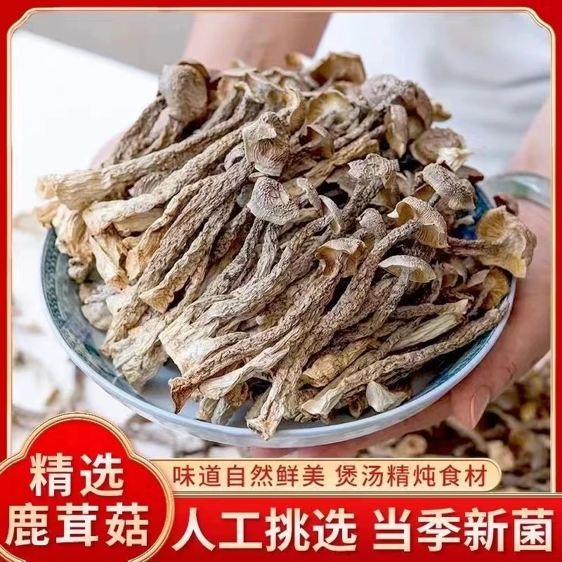不开伞高品质鹿茸菇干货鹿茸菌脆脆菇鹿耳菇无熏硫香菇煲汤好食材
