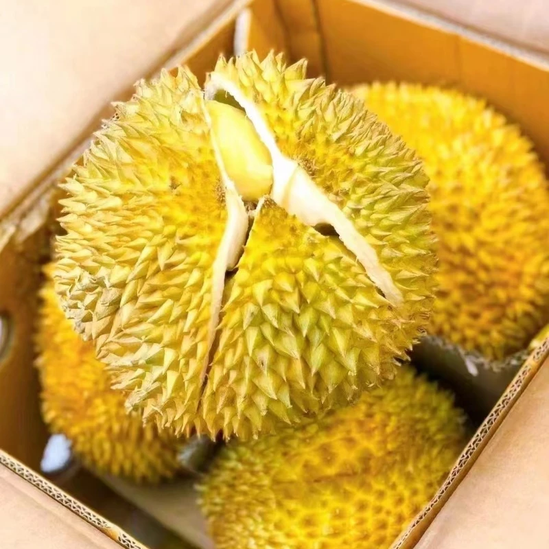 【送货到家】泰国5A级树熟金枕榴莲 / 按斤称重(下单购买丨骑手最快30分钟配送到家)