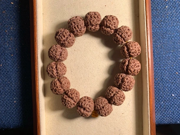 《雪宝出品》龙牙梅花头货