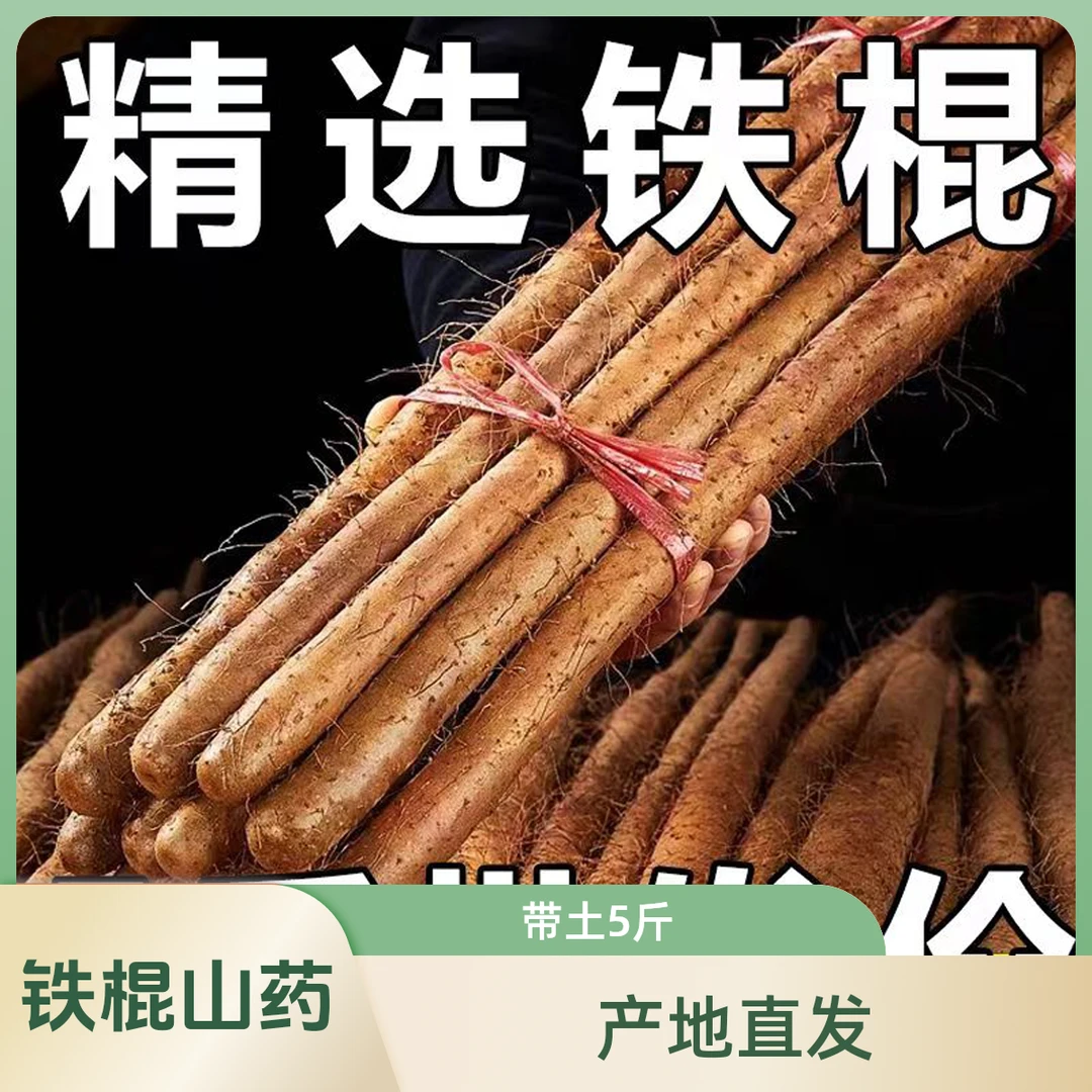 正宗铁棍山药新鲜软糯香甜营养产地直发5斤装