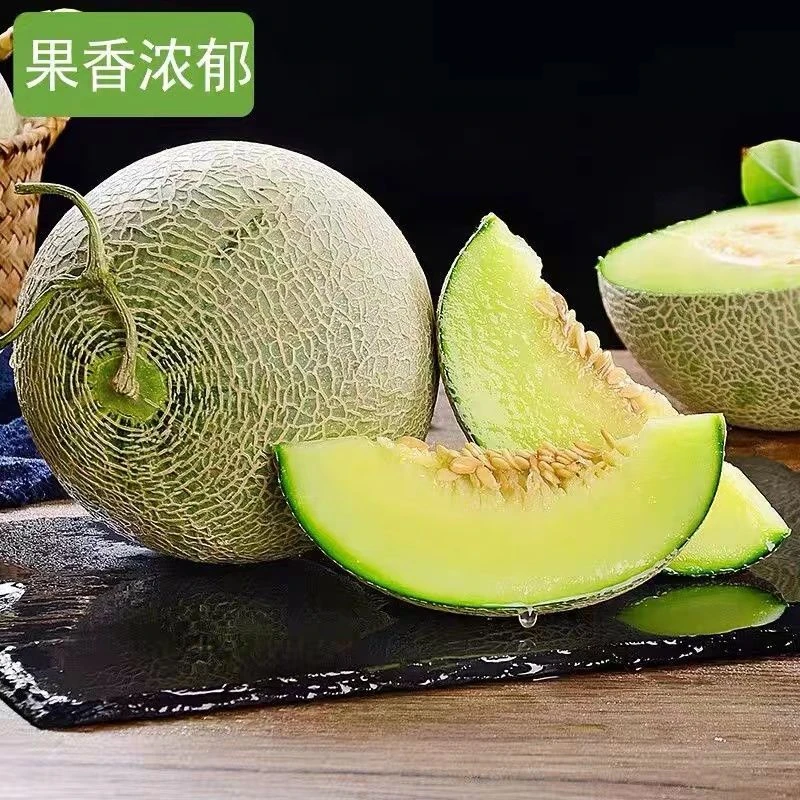 海南网纹蜜瓜玫珑瓜软糯香甜梅陇瓜静冈冰激凌哈密瓜新鲜水果肉厚