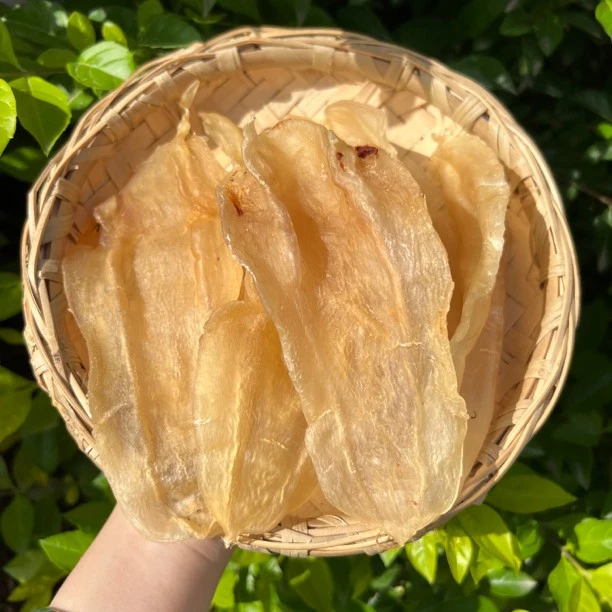 尚膳楼广东北海母胶花胶1g250g500g