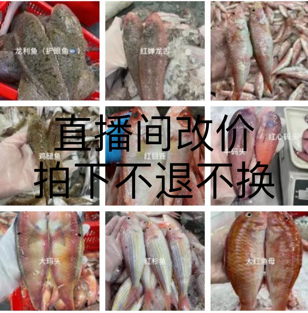 广东揭阳惠来神泉本港海鲜，混合搭配5-10斤，直播间改价