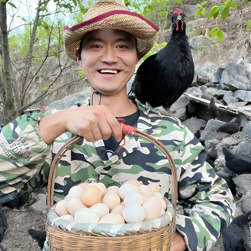 【五指凤冠】新鲜土鸡蛋月子蛋贵州大山放养现捡现发0激素0抗生素