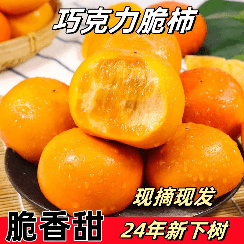 【脆香甜】阳丰巧克力脆柿子新鲜硬柿子水果5斤整箱甜软柿现摘现发