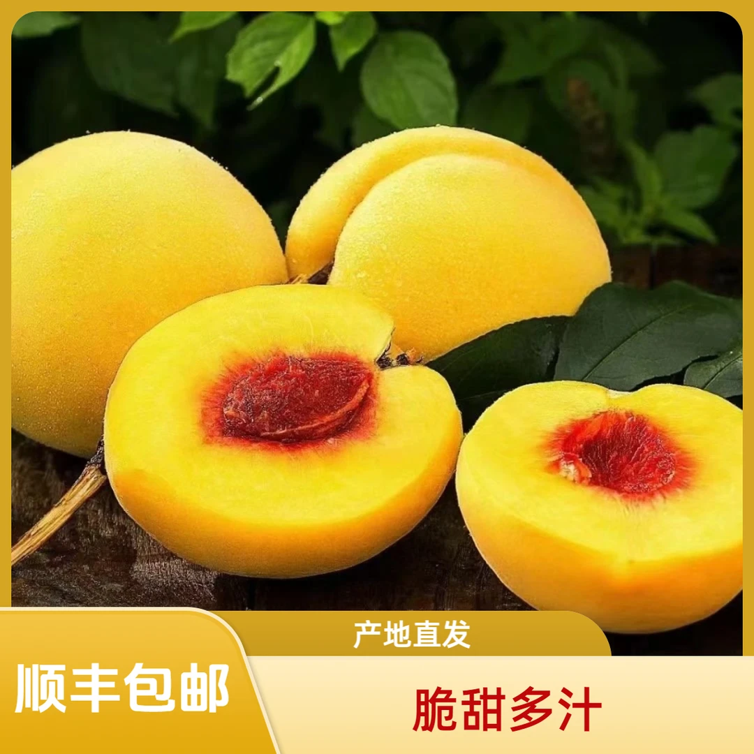枣阳黄桃  4.2斤-5斤  锦绣黄桃  产地直发  现摘新鲜  脆甜多汁