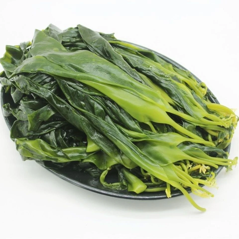 2023霞浦特产食用海带嫩苗鲜嫩独立火锅菜500克/包脆爽凉拌美味