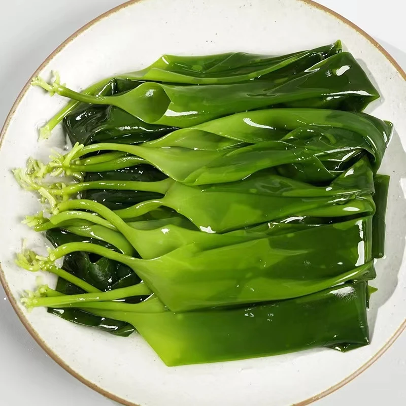 霞浦特优海带苗500g非裙带菜新鲜海带嫩苗凉拌煲汤火锅食材批发