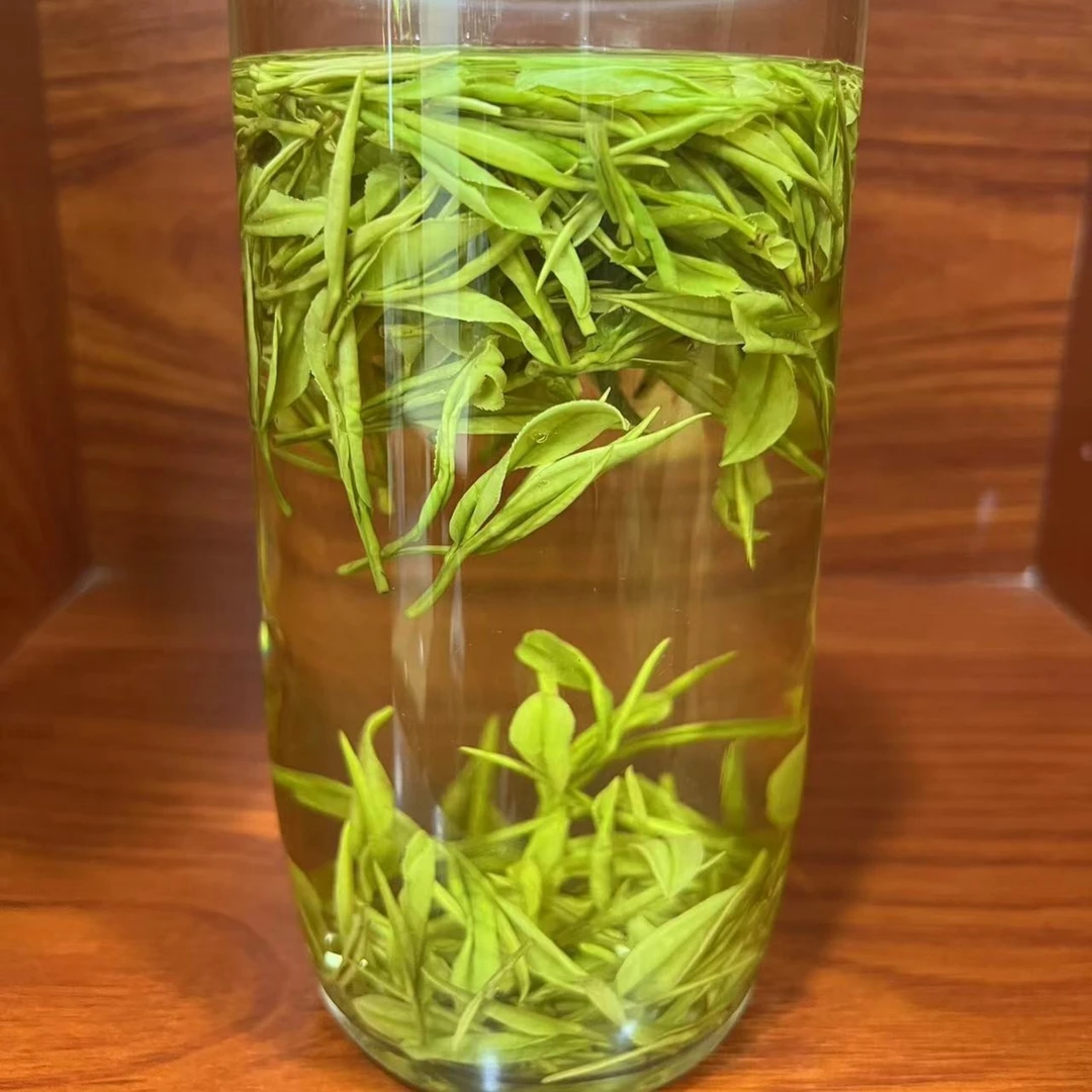 Luofu/罗府2025新茶春茶核心产地高山白茶