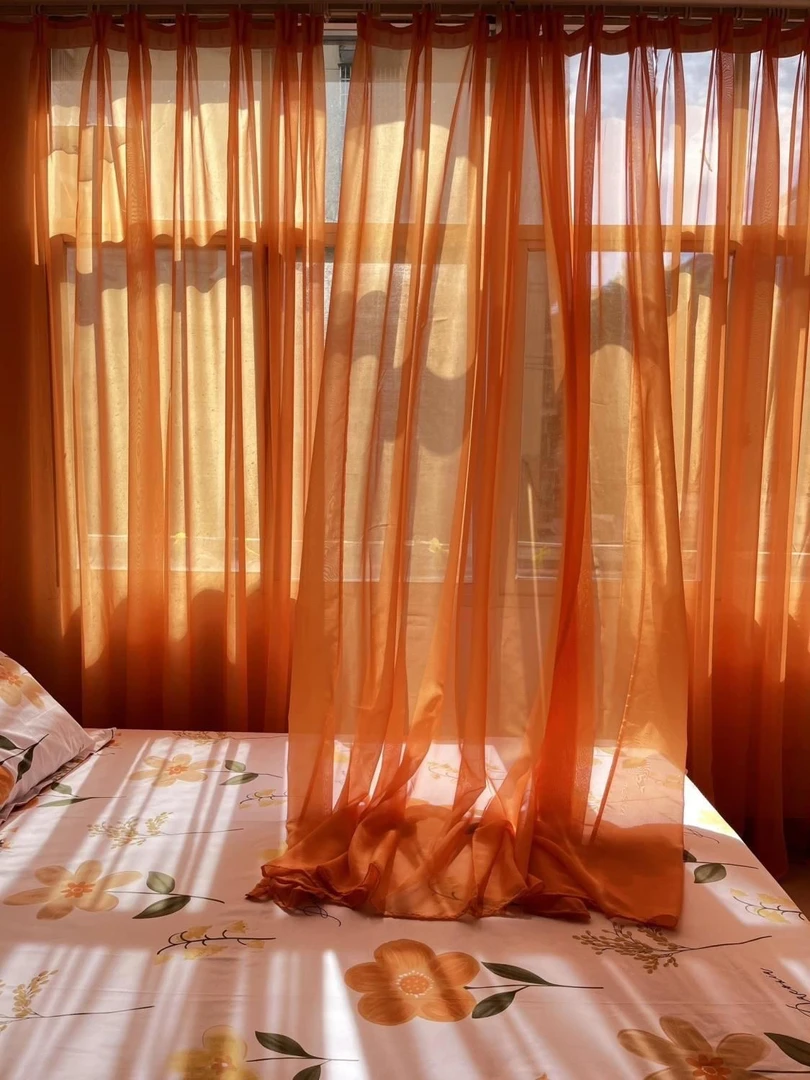 新款免打孔自粘橙色透光纱窗帘成品飘窗阳台客厅直播背景墙跳舞纱