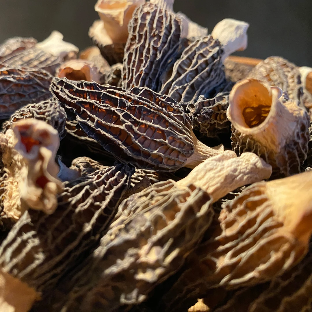 十六州云品丨羊肚菌50g云南特产菌菇类干货煲汤干货食材送礼佳品