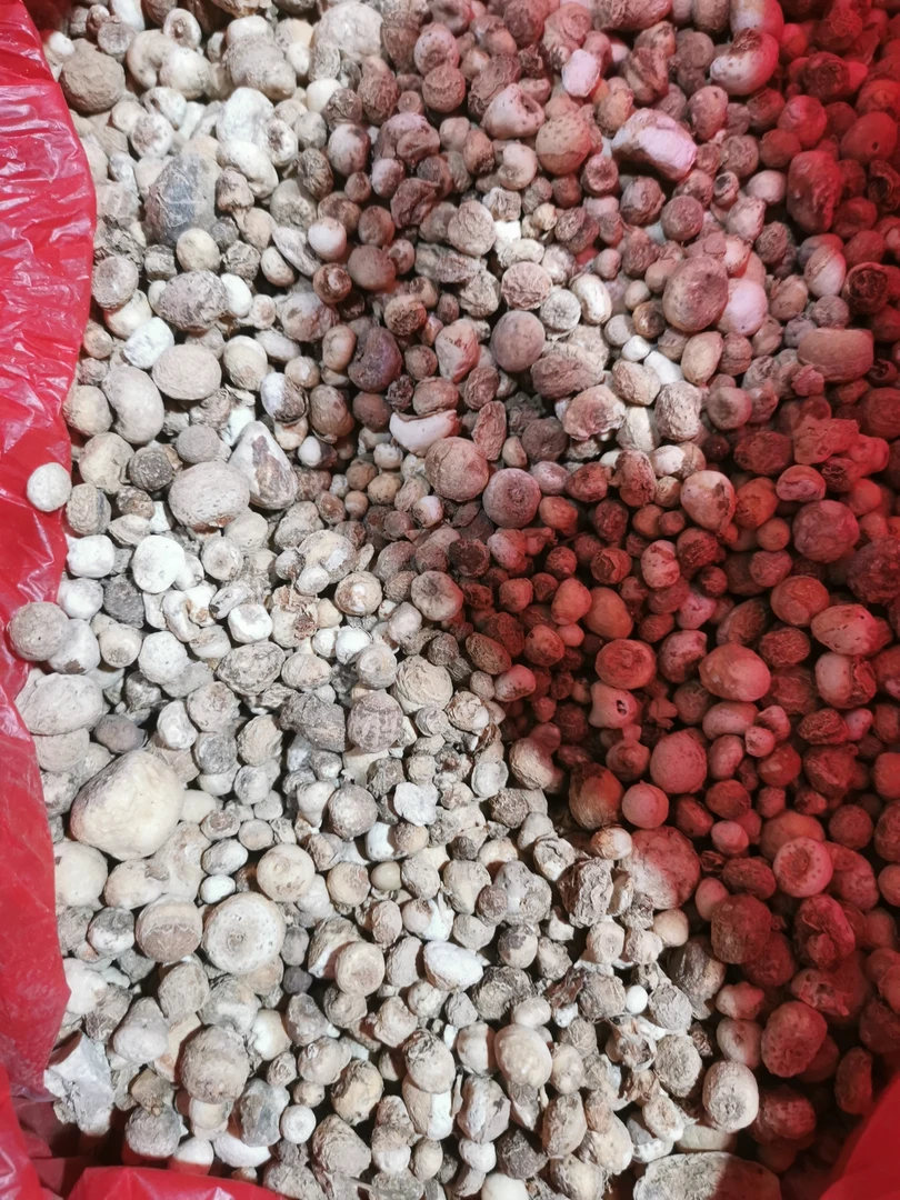 野生麻芋半夏无硫农产品姜半夏三生饮小柴胡汤关键材料