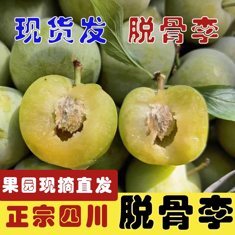 正宗青脆李】当季李子青脆李脱骨酸甜李空心新鲜现摘水果3斤装