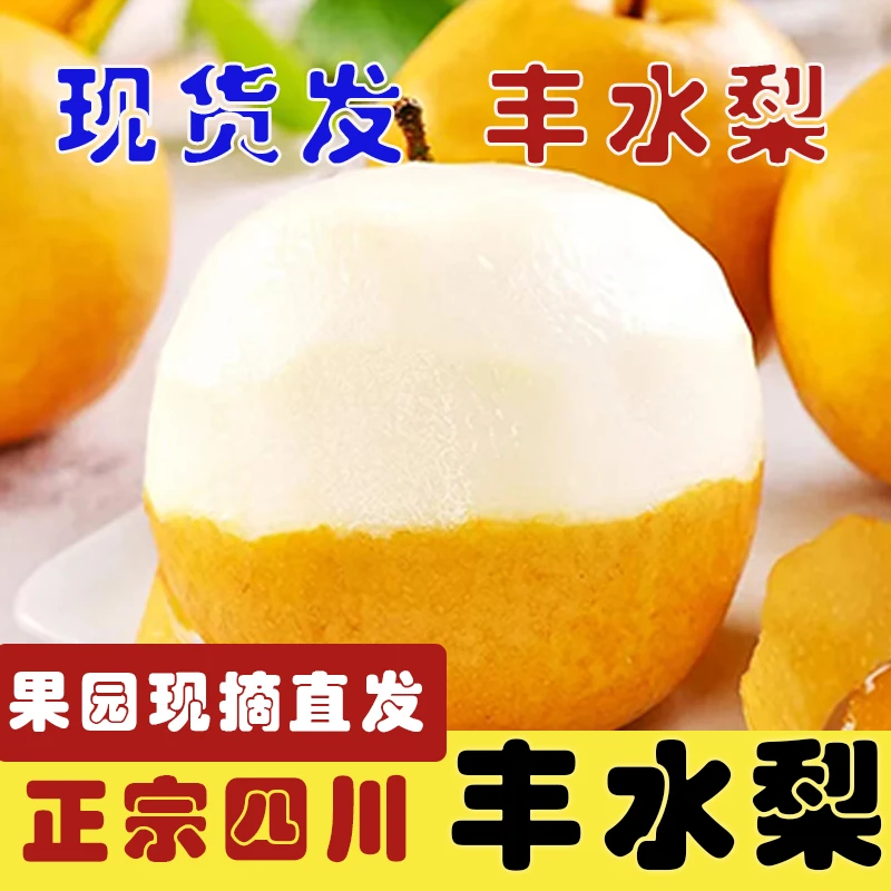 正宗冰糖丰水梨整箱5斤新鲜果园新鲜采摘梨子黄皮酥梨皮薄多汁