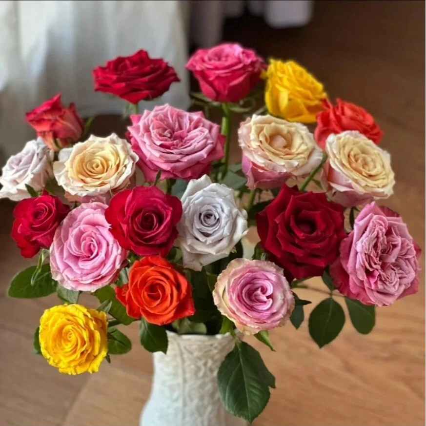 (4单一个运费)玫瑰新鲜花材云南基地现采现发