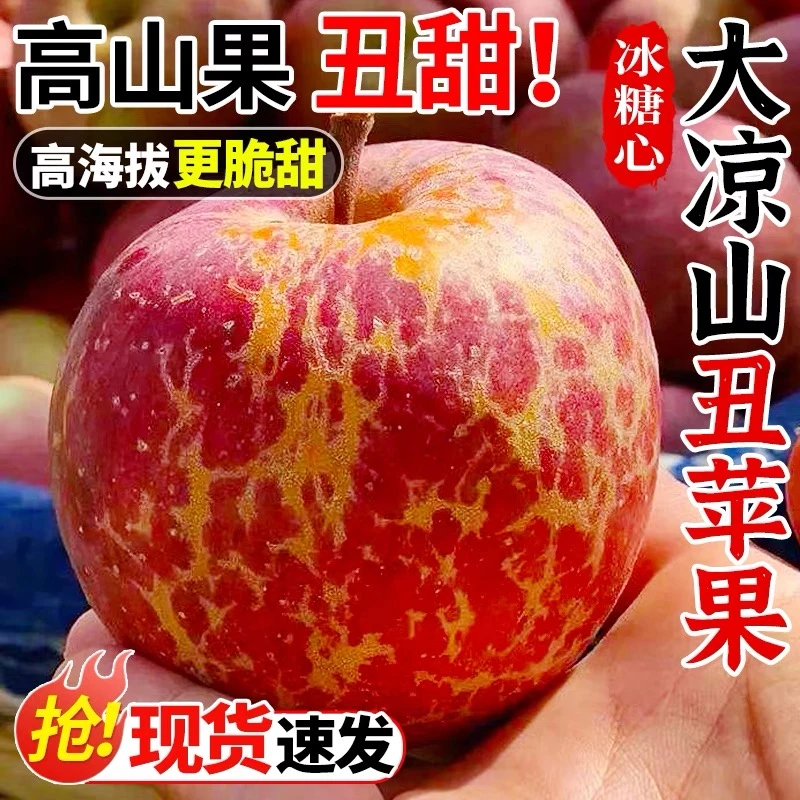 大凉山冰糖心丑苹果2025新鲜苹果5斤装大果红富士脆甜多汁水果大