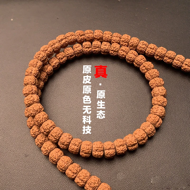 【直播间专属】龙切各地力纯血一代龙108