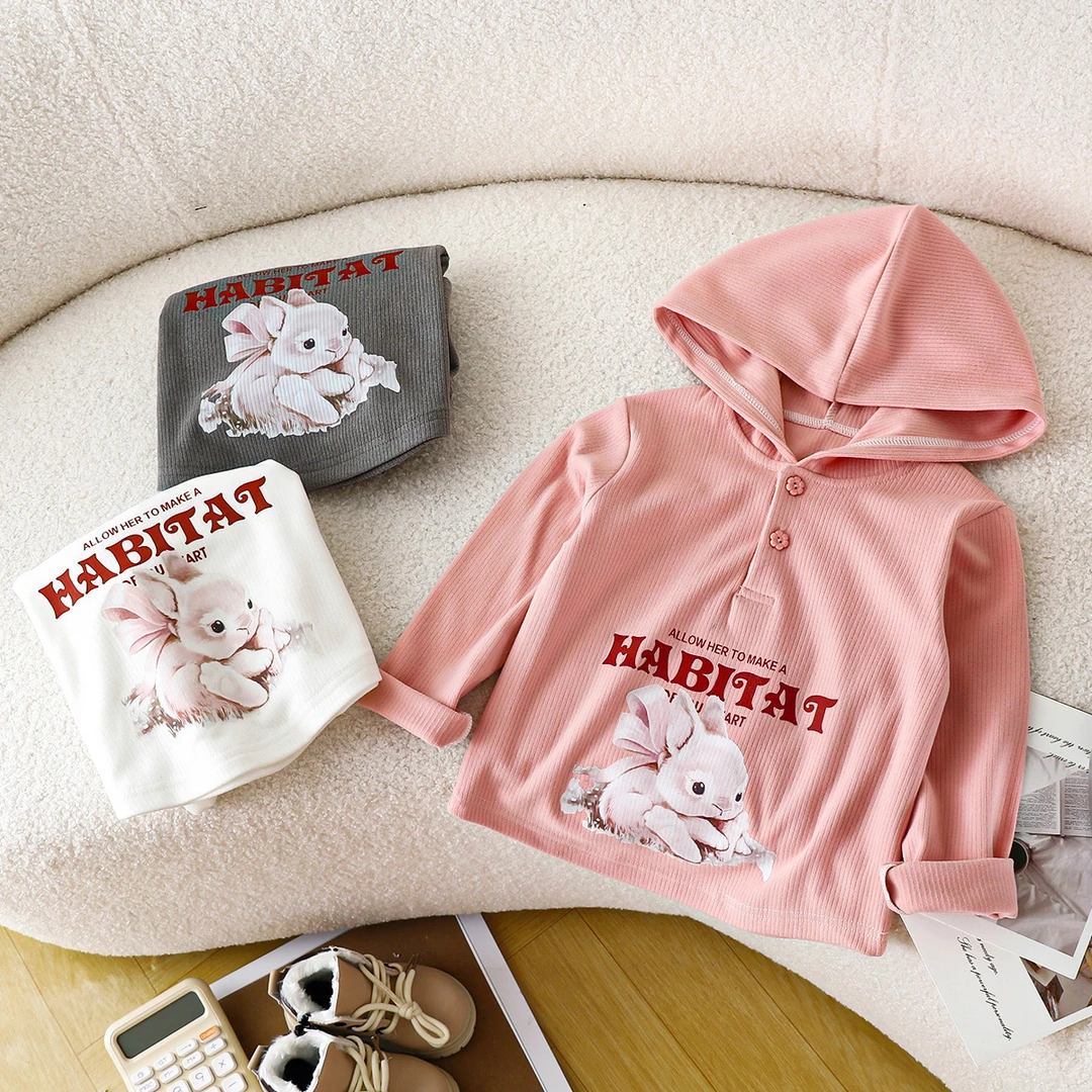 儿童春秋连帽新款女童长袖洋气休闲卫衣