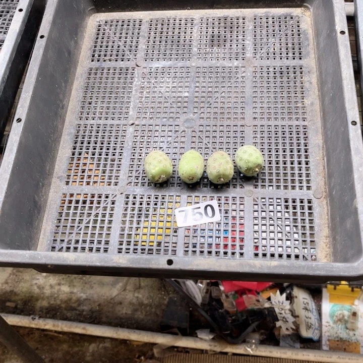 习750 一物一图如图