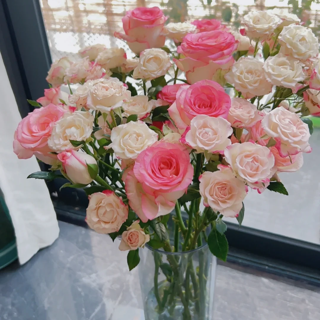 【鲜花组合】鲜花 云南基地直发鲜花 任意4单顺丰冷链