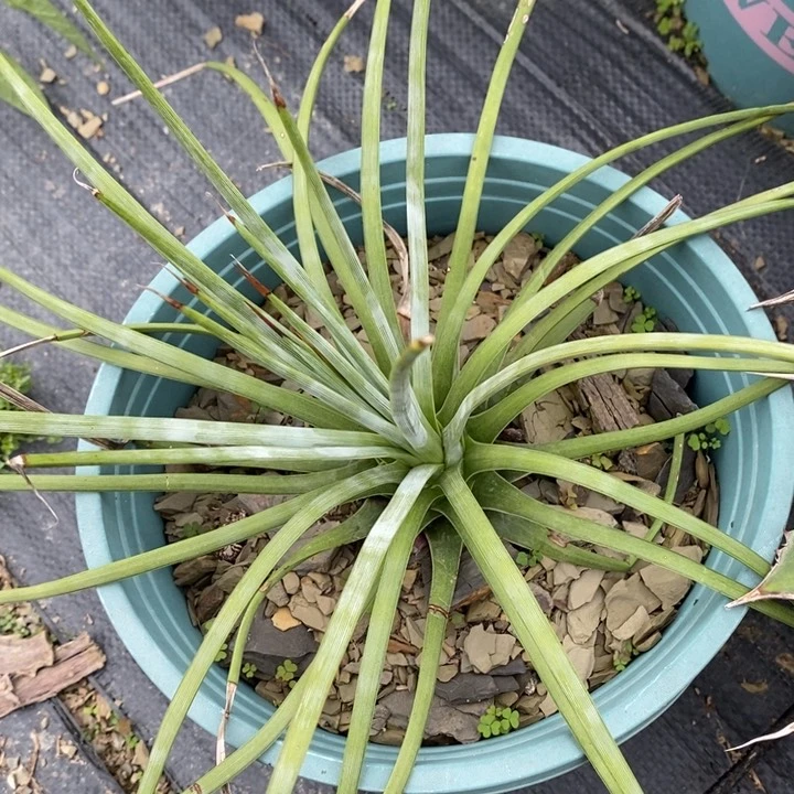 吹上q w t y ui o o o p