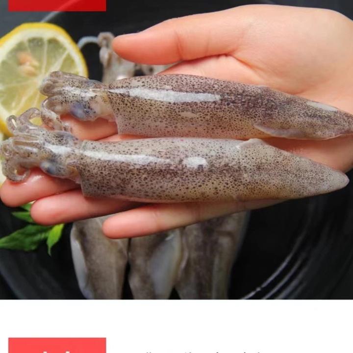 新鲜海捕 海兔 笔管鱼 250克/盒到手6盒 公母搭配发货