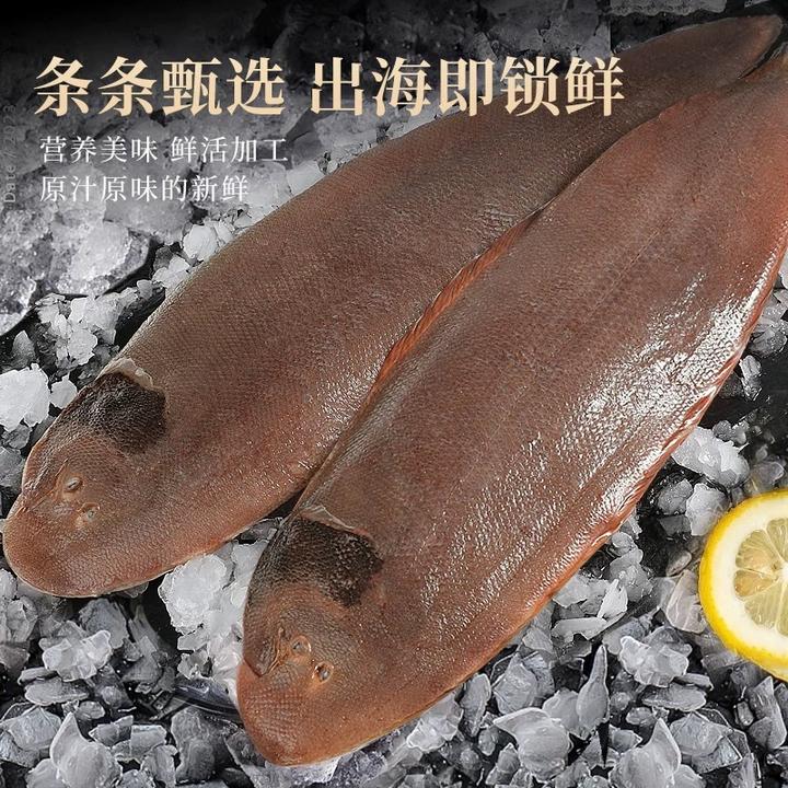 海捕新鲜踏板鱼 舌头鱼精选大个头 4两以上/条  到手8条
