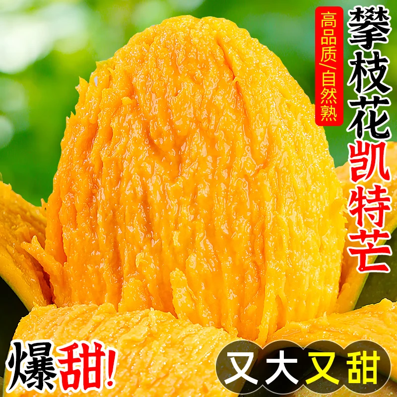 【放软再吃】攀枝花凯特芒果带箱9.5-10斤5-10个单果500g+多仓发货