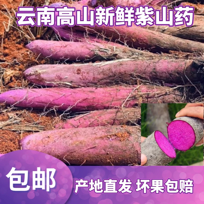 【顺丰包邮】云南高山紫山药纯紫色3斤-5斤-9斤铁棍山药生鲜蔬菜